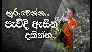 '' බුදුන් කියන්නෙ ධර්මතාවයක්...'' _Niwan Dakimu