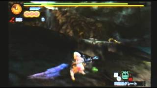 【MH4】　牙獣の品格　操虫棍ソロ　【3DS】