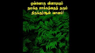 ஒவ்வொரு வினாடியும் நமக்கு ஊக்கத்தைத் தரும் திருக்குர்ஆன் வசனம்!