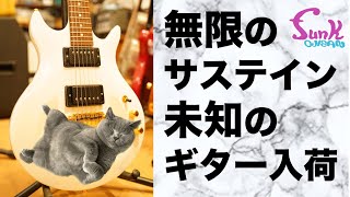 【激レア】無限のサステイン、未知のギター ARISTIDES 020 入荷！ - ギター屋 funk ojisan