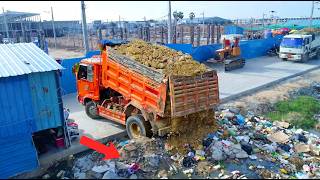Nice Start New Project!! Transformed a Landfill and Dumping Soil & Dozers in Actions!