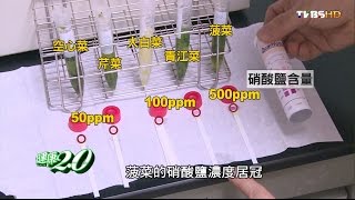 隔夜菜禁忌及保存方法 健康2.0 20160710 (2/4)