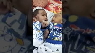 twin babies | hungry twins funny moment| hungry twins trying to suck each other faces