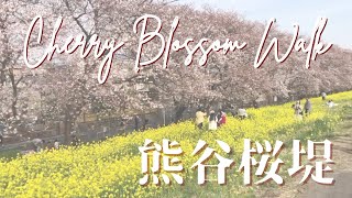 Japan Cherry Blossom Walk 2021 Sakura 熊谷桜堤の桜