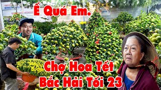 Ngỡ Ngàng Chợ Hoa Tết Bắc Hải, Thành Thái Tối 23 Nhà Vườn mỏi mòn đợi khách