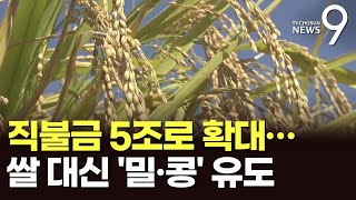 양곡법 대안으로 '직불금' 5조로 확대…\