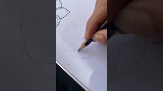 Easy plumeria flower drawing 🌼 #youtubeshorts #shortsviral