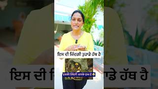 ਇਸ ਬੱਚੇ ਦੀ ਜ਼ਿੰਦਗੀ ਤੁਹਾਡੇ ਹੱਥ @sandhuaboharwale #comedy #comedyskits #viral #funny #comedyvideos