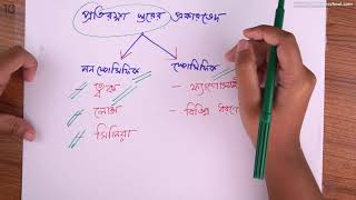 ১০.০২. অধ্যায় ১০ : মানবদেহের প্রতিরক্ষা - প্রতিরক্ষা স্তর