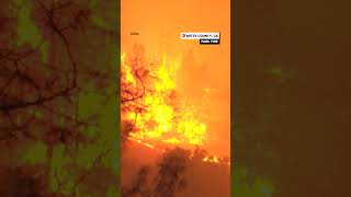 See timelapse footage of California's massive Park Fire