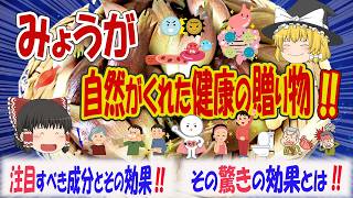 みょうがは全身の健康に役立つ優れた食品です‼驚きの健康効果を解説【ゆっくり解説】