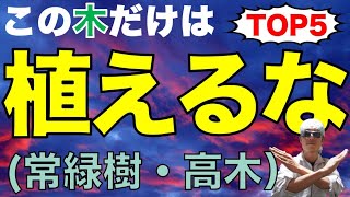 植えると大変【TOP５】対処法と代わりの植木もご提案（常緑樹高木編）