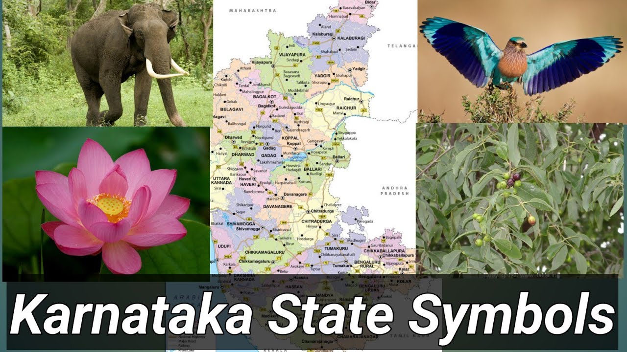 Karnataka State Symbols -2022|Names Of Animal Bird Flower Tree And ...