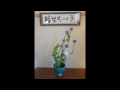 花をいけよう　let s do ikebana