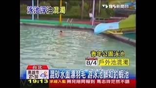 混濁不見底！　青年公園泳池似「釣蝦場」