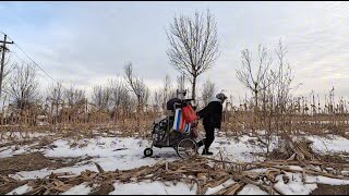 东北女孩冬季徒步西藏，天寒地冻，在废弃的养殖场里露营 #徒步 #旅行 #旅行趣事 #露营 #美女 #穷游