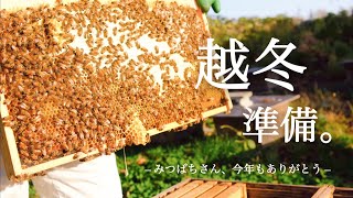 【越冬準備】秋の養蜂場がきれいです／今年最後のお世話。