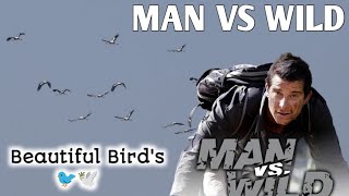 man vs wild hindi | man vs wild jungle | man vs wild bear Grylls | discovery hindi