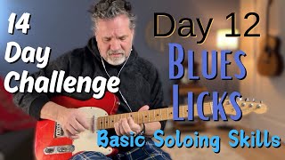 14 Day Soloing Skills Challenge // Day 12 // Blues Licks \u0026 Embellishment