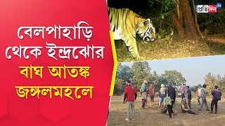 Bankura News: After leaving Belpahari, tiger entered Bankura, Forest Dept monitoring its movement