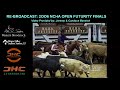 2006 ncha open futurity finals