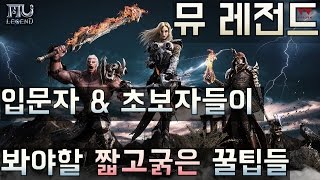 뮤레전드 초보자들이 봐야할 육성 방법 및 깨알같은 꿀팁들 (Mu Legend OBT)