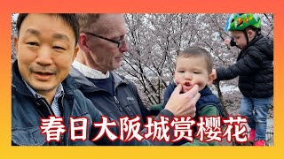 日本大阪城公园内有三千多株樱花🌸，满开的时候非常壮观。应邀和朋友🌈一起去赏花！