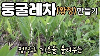 수제 둥굴레차 만들기 / 텃밭에서 난 자연산 둥굴레 말려서 뻥 튀겨서 홈메이드 뿌리차 우려먹기 / 집 콕 티 타임 하세요 / 휴롬 티마스터