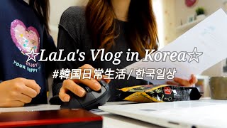 【日韓夫婦歴14年目主婦Vlog】母のレシピ料理｢鶏肉と餅の野菜煮込み｣紹介、夫の実家でジャジャン麺、日本からの支援物資たち #084