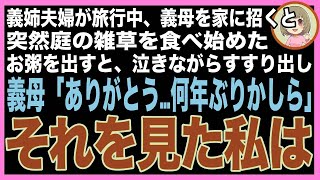 【スカッと】義姉夫婦が旅行中、義母を預かると突然義母が庭に降り雑草を口に詰め込み出したので、慌ててお粥を出すと義母「ありがとう…何年ぶりかしら」→その言葉を聞いた私は無言で立ち上がり（朗読）