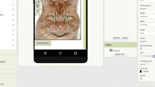 AppInventor PaintPot 1