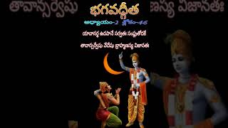 సాంఖ్య యోగము//Sloka-46//Bhagavad gita in Telugu #shorts #shortvideos