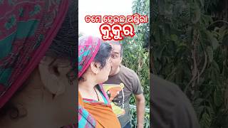 ତମେ ହେଉଛ ଅଣ୍ଡିରା କୁକୁର#odiacomedy#odiavlog#shorts#