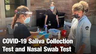 COVID-19 Saliva Collection Test and Nasal Swab Test | CU Boulder