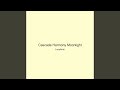 Cascade Harmony Moonlight