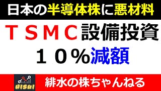 日本の半導体株への影響は？？ＴＳＭＣ決算発表！設備投資計画１０％減額！【緋水の株ちゃんねる】