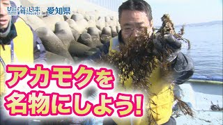 海の邪魔もの・アカモクが名物に！ 日本財団 海と日本PROJECT in 愛知県 2022 #05