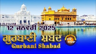 🔴LIVE  ਗੁਰਬਾਣੀ ਕੀਰਤਨ ਸੁਣੋ ਜੀ Gurbani  Shabad  Kirtan | 11 JAN. 25 #kirtan #shabadgurbani