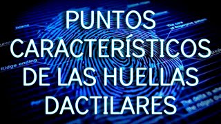 PUNTOS CARACTERÍSTICOS DE LAS HUELLAS DACTILARES