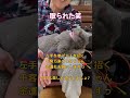 アタシ福を呼ぶ招き猫なの