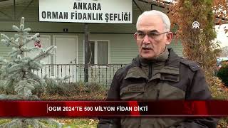 OGM 2024’te 500 milyon fidan dikti