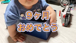 【9ヶ月おめでとう】ハイハイレース！靴箱にスッポリはまる赤ちゃん