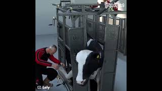 This might be the future of dairy farming.Lely bright farming solutions