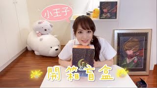 ［開箱］重量級作品！全球首套《小王子》盲盒系列 - 秘密の物語 ｜朱蕾安Julianne