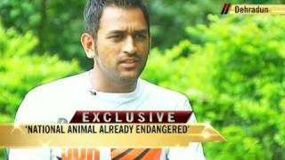 MS Dhoni on match-fixing, tigers and marriage