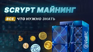 Scrypt Майнинг на ViaBTC | ВСЕ, что нужно знать о майнинге на алгоритме Scrypt