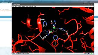 Bioinformatics Lab Exercise 5