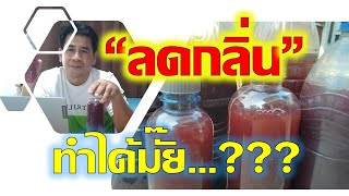 EP 4จุลินทรีย์สังเคราะห์แสง ลดกลิ่นได้มั๊ย!!,แก้กลิ่นจุลินทรีย์สังเคราะห์แสง,กลิ่นจุลินทรีย์สังเคราะ