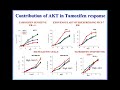 emerging drug combinations evolution from pre clinical discovery to clinical development