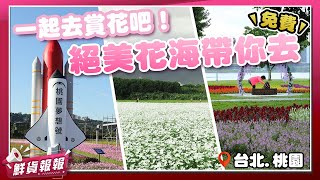 秋季花海登場！ 「延平河濱公園、關渡花海、桃園花彩節」北台灣超好拍花田秘境一次看 | 鮮貨報報 | 壹起FUN